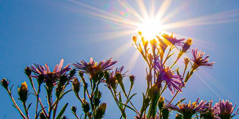 Карьерные возможности для выпускников